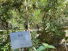 -广州神农草堂中医药博物馆