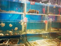 水产区-大城·烧烤海鲜大排档(台东店)