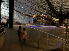 -世界恐龙谷景区