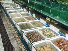水产区-海岛渔村大酒店(云霄路店)