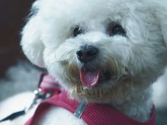 -北马山庄植趣咖啡