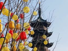 -龙华素斋(龙华路店)