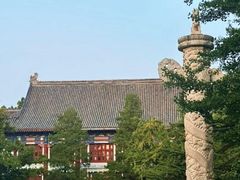 -京城小江南·北京烤鸭·江南土菜·白鱼(中关村店)