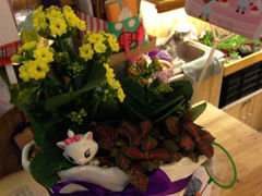 iphone_upload_pic-妃比花艺(光启城时尚购物中心店)