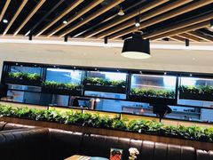 大堂-摩欧客意式餐厅(高新活力汇店)