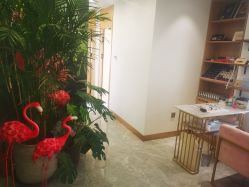 -归真美学颜究中心