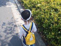 -自然谷恐龙园