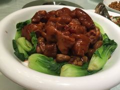 -大铁勺新津菜(东丽阳光新业广场店)