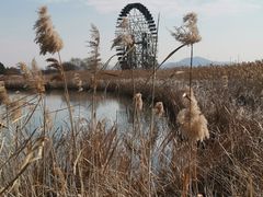 -苏州太湖湖滨国家湿地公园