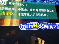 -成都浩海立方海洋公园