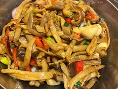 -巴人堂(女儿城店)