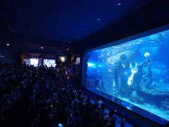 -多彩贵州城极地海洋世界