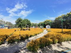 -广东花都香草世界旅游度假区