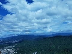 -随意鸟地方101观景餐厅