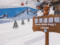 -长沙湘江冰雪世界