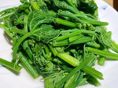 清炒丝瓜尖-山茶云南菜(中关村店)