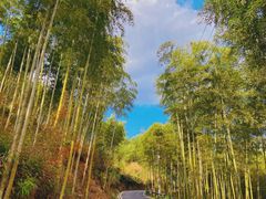 -山沟沟景区