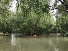 -大湾区中央湿地公园
