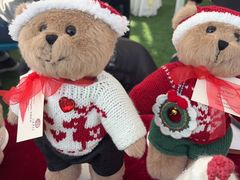 -上海英国外籍人员子女学校(浦西校区)