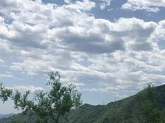 -北京鹫峰国家森林公园