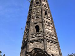 -上海佘山国家森林公园天马山园