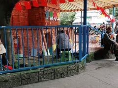 -南湖梦幻岛