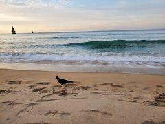 -海云台海滩