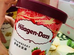 -哈根达斯(西安北郊店)