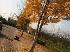 -成都中医药大学(温江校区)