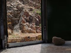 -温岭石塘海边