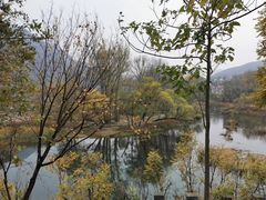 -阳台山自然风景区