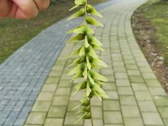 -宝界山林公园