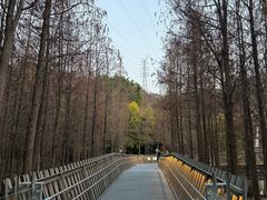 -福道
