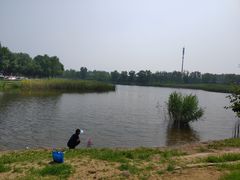 -永定河休闲森林公园