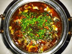 -蓉城鱼馆•活鱼现做(六道湾店)