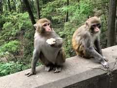 -黔灵山公园