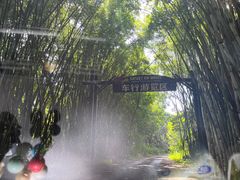 -海南热带野生动植物园