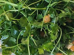 -No.DD戳子烧烤·江湖菜(北京总店)
