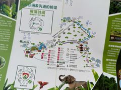 -野象谷景区