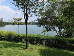 -广东花都湖国家湿地公园