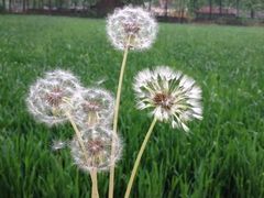 iphone_upload_pic-上海怡沁园度假酒店