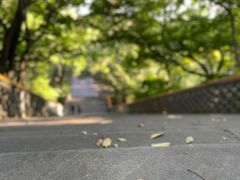 -沈阳市东陵公园