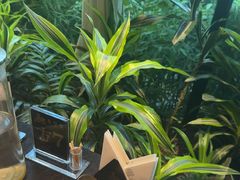 -太守宴·蘭院(天塔店)