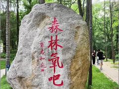 -洛阳白云山景区