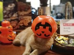 -咖法森林·咖啡  酒吧(天河店)