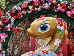 -越秀西湖花市(广州城市广场花卉店)
