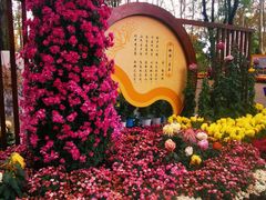 -上海共青森林公园