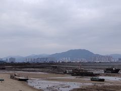 -北岐滩涂