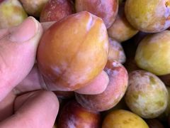 -百果园PAGODA(玄武成贤街店)