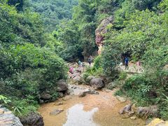 -南海湾森林生态园